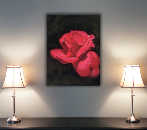 So Red The Rose