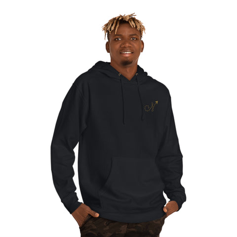 The NFA Plane Hoodie [GOLD]